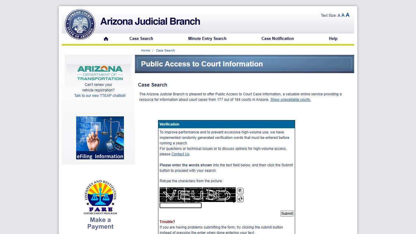Public Access Case Lookup